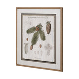 Woodland Chart V by Sue Schlabach a Hand Embellished Textured Framed Art Print Matted under Glass from Mercana - Luna Furniture