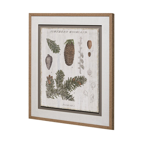 Woodland Chart IV by Sue Schlabach a Hand Embellished Textured Framed Art Print Matted under Glass from Mercana - Luna Furniture