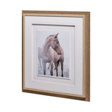 Horse 9 by Chris Dunker a Framed Photo Art Print Matted under Glass from Mercana - Luna Furniture