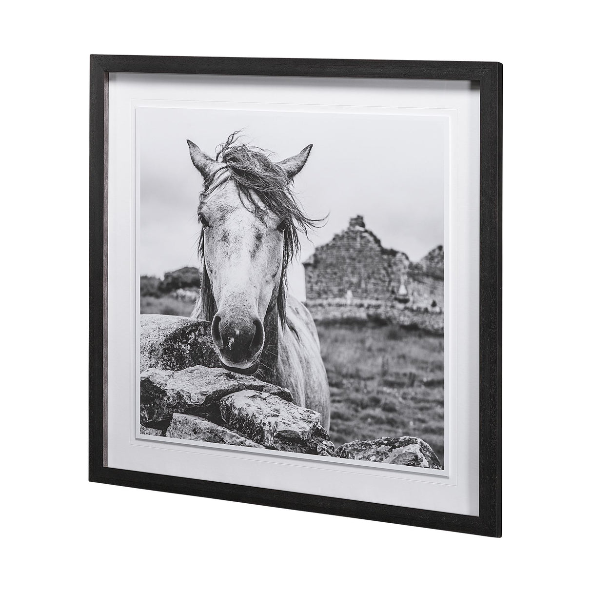 Ireland Black & White by Arabella Studios a Framed Photo Art Print Matted under Glass from Mercana - Luna Furniture