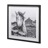 Ireland Black & White by Arabella Studios a Framed Photo Art Print Matted under Glass from Mercana - Luna Furniture