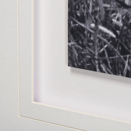 Curiosity by The Vintage Collection a Hand Embellished Textured Framed Art Photo Matted under Glass from Mercana - Luna Furniture