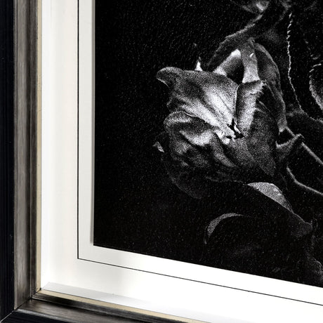 Dark Blossoms by Brian Carson a Hand Embellished Textured Framed Photo Art Print Matted under Glass from Mercana - Luna Furniture