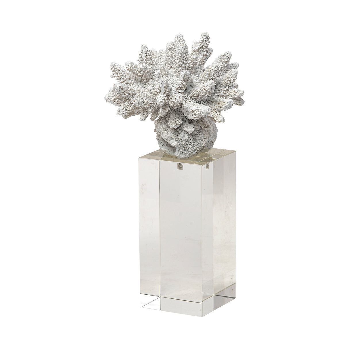Isla (Large) 5L x 5W White Replica Resin Coral On Clear White Glass from Mercana - Luna Furniture