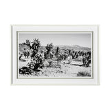 Road Trip III by Elizabeth Urquhart a Framed Photo Art Print Matted under Glass from Mercana - Luna Furniture