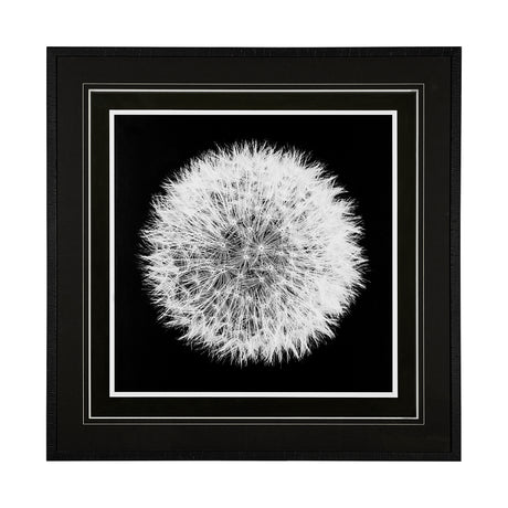Dandelion on Black I by Aledanda a Framed Photo Art Print Matted under Glass from Mercana - Luna Furniture