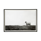 Islay Sheep II by Laura Marshall a Framed Photo Art Print Matted under Glass from Mercana - Luna Furniture