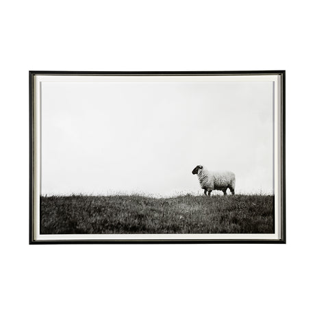 Islay Sheep II by Laura Marshall a Framed Photo Art Print Matted under Glass from Mercana - Luna Furniture