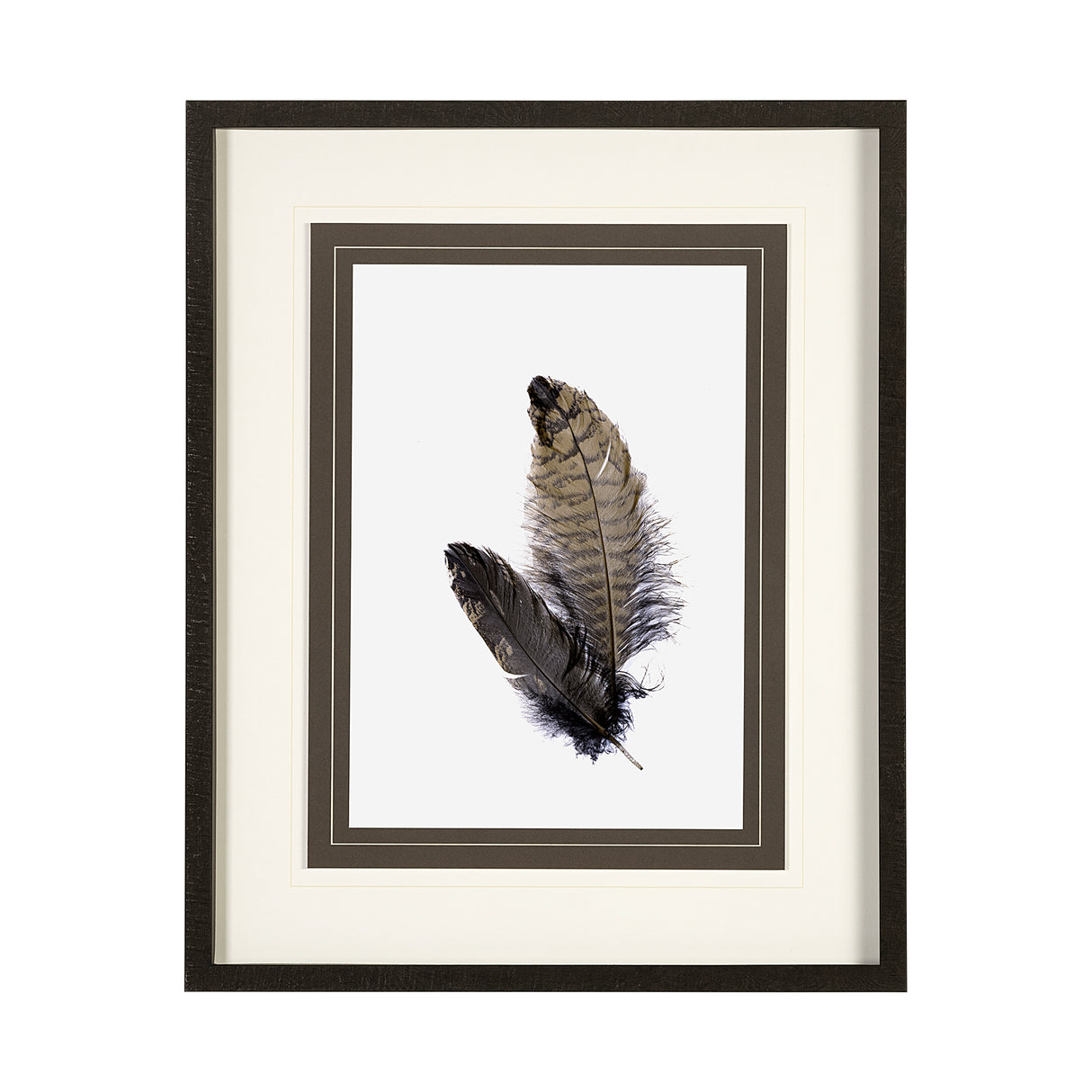 Feathered Friends by Nancy Crowell a Framed Art Print Matted under Glass from Mercana - Luna Furniture