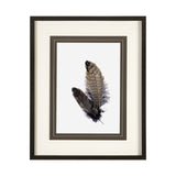 Feathered Friends by Nancy Crowell a Framed Art Print Matted under Glass from Mercana - Luna Furniture