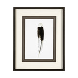 Flying solo by Nancy Crowell a Framed Art Print Matted under Glass from Mercana - Luna Furniture