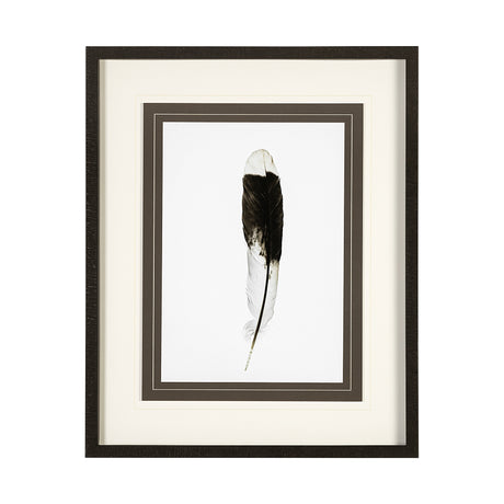Flying solo by Nancy Crowell a Framed Art Print Matted under Glass from Mercana - Luna Furniture