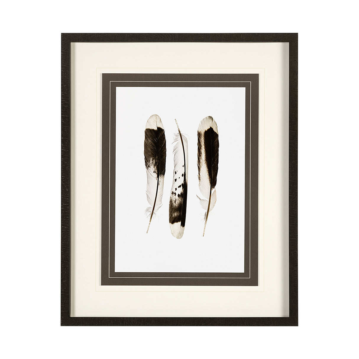 Flock together by Nancy Crowell a Framed Art Print Matted under Glass from Mercana - Luna Furniture
