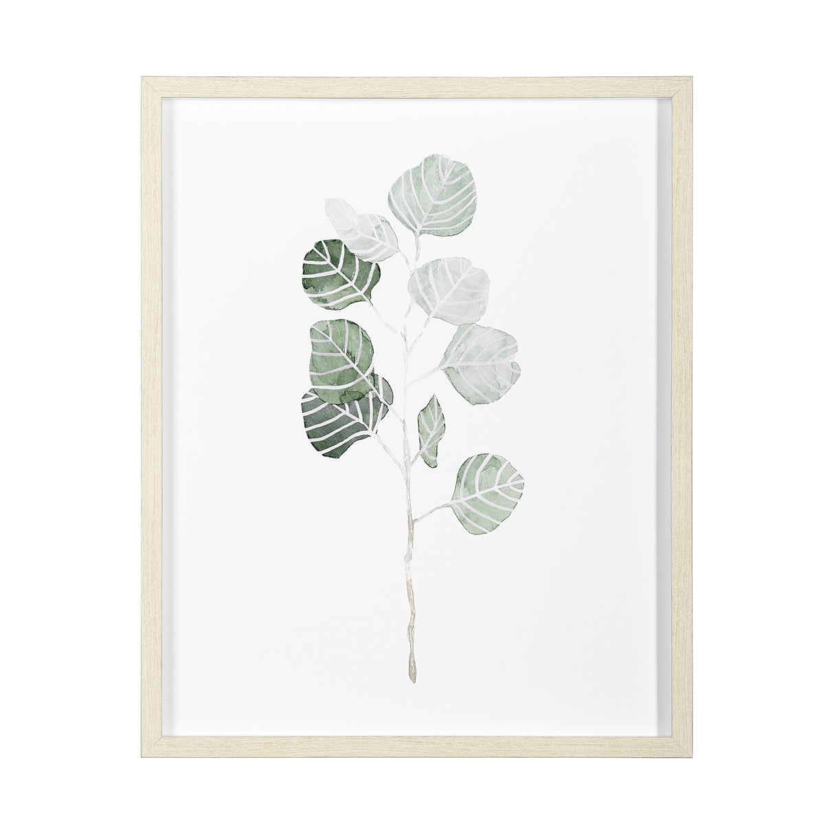 Soft Eucalyptus Branch I by Emma Scarvey Hand Embellished Framed Art Print Matted under Glass from Mercana - Luna Furniture