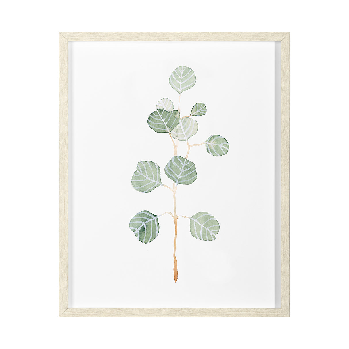 Soft Eucalyptus Branch II by Emma Scarvey Hand Embellished Framed Art Print Matted under Glass from Mercana - Luna Furniture