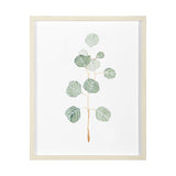 Soft Eucalyptus Branch II by Emma Scarvey Hand Embellished Framed Art Print Matted under Glass from Mercana - Luna Furniture
