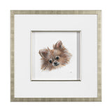 Frankie (Pomeranian 1) by Mercana Studio Hand Embellished Framed Art Print Matted under Glass from Mercana - Luna Furniture