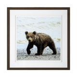 Curious Cub by Wink Gaines a Hand Embellished Textured Framed Art Photograph Matted under Glass from Mercana - Luna Furniture