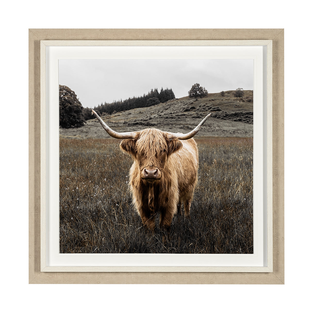 Bernie by Assaf Frank a Framed Photo Art Print Matted under Glass from Mercana - Luna Furniture