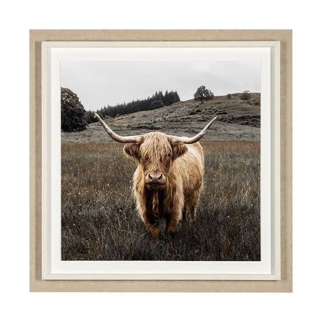 Bernie by Assaf Frank a Framed Photo Art Print Matted under Glass from Mercana - Luna Furniture