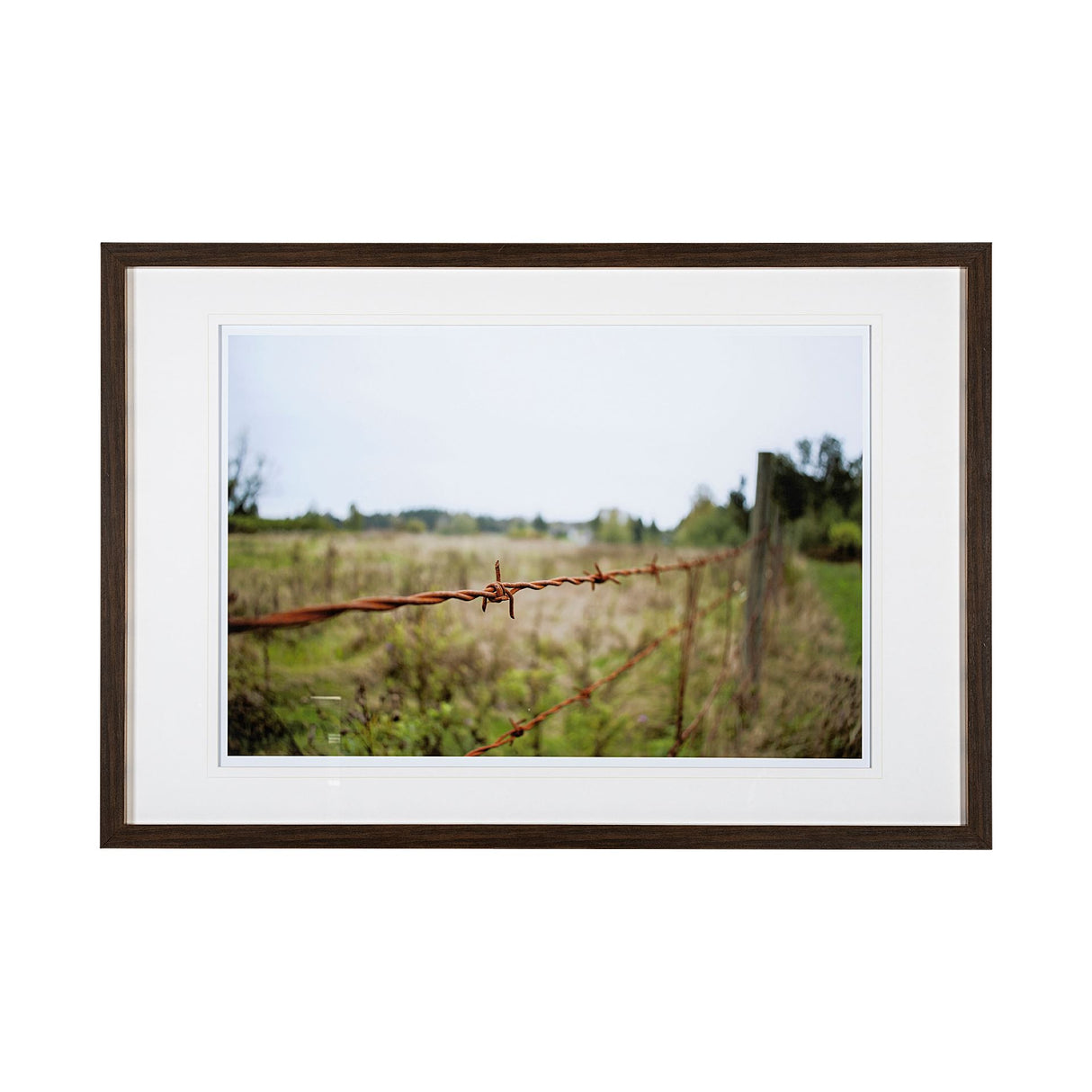 Barbed Wire by Katelyn Mostert a Framed Photo Art Print Matted under Glass from Mercana - Luna Furniture