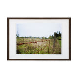 Barbed Wire by Katelyn Mostert a Framed Photo Art Print Matted under Glass from Mercana - Luna Furniture