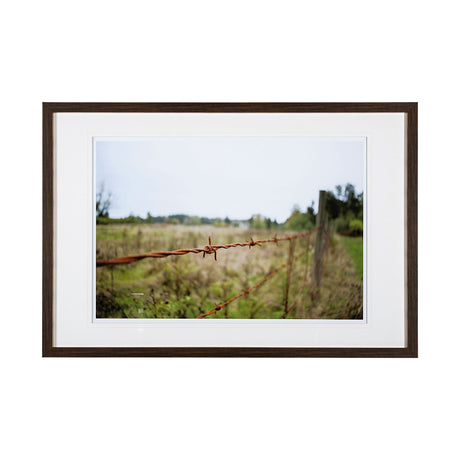 Barbed Wire by Katelyn Mostert a Framed Photo Art Print Matted under Glass from Mercana - Luna Furniture