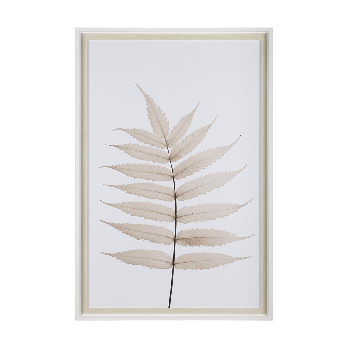 Limber Leaves by Assaf Frank a Framed Art Print Matted under Glass from Mercana - Luna Furniture