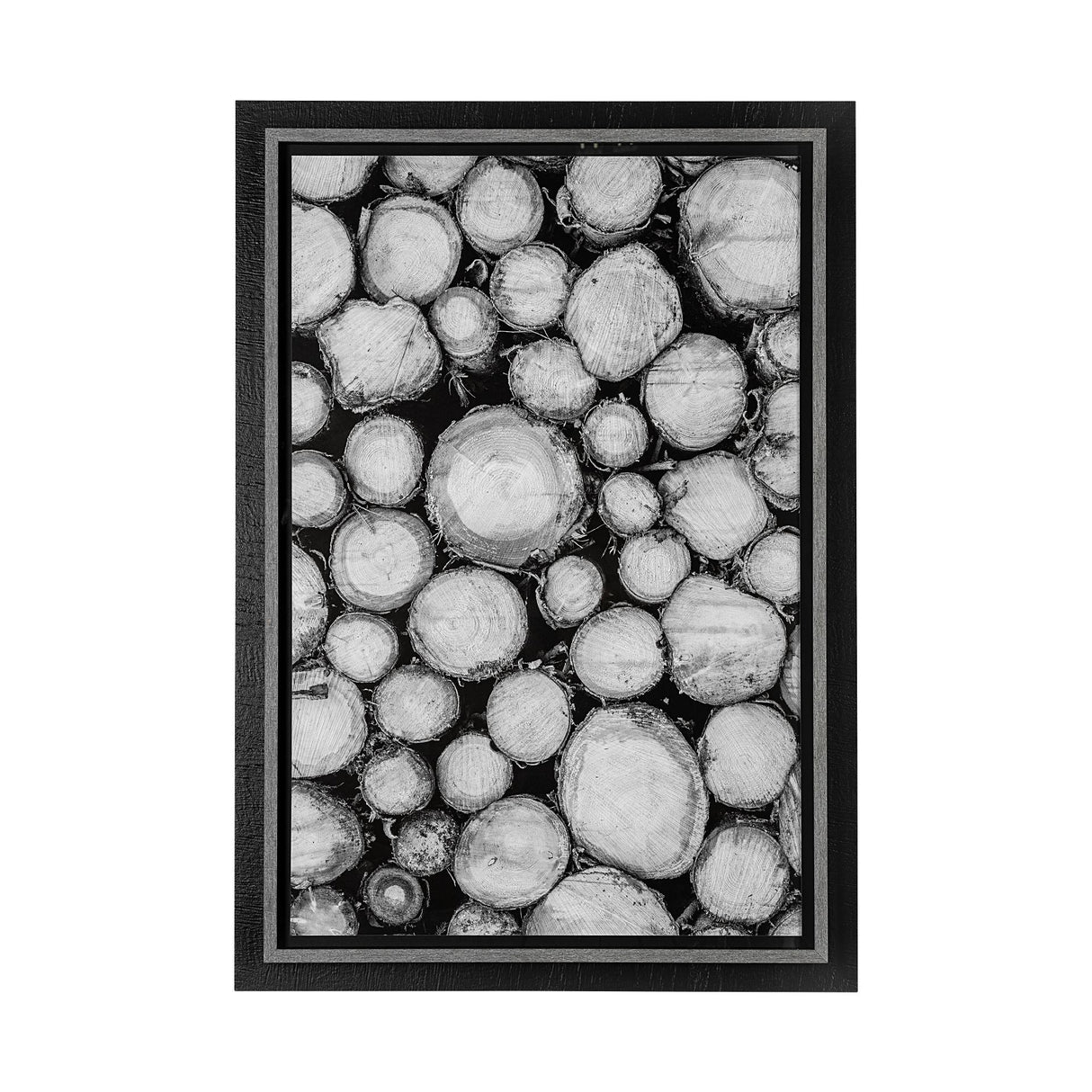 Timber Focus by Assaf Frank a Framed Photo Art Print Matted under Glass from Mercana - Luna Furniture