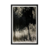 Tranquil Symmetry II by Mikael Svensson a Framed Photo Art Print Matted under Glass from Mercana - Luna Furniture