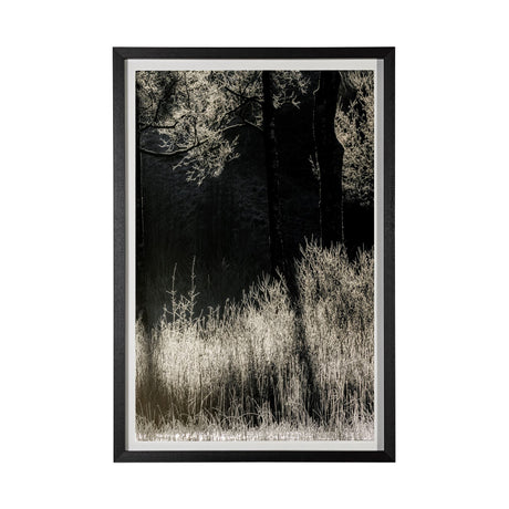 Tranquil Symmetry II by Mikael Svensson a Framed Photo Art Print Matted under Glass from Mercana - Luna Furniture