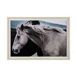 Close Companions by Nathan Kane a Framed Photo Art Print Matted under Glass from Mercana - Luna Furniture
