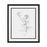 Arrangement II by Hiraki a Framed Art Print Matted under Glass from Mercana - Luna Furniture