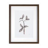 Olive Branch II by Gabrielle a Framed Art Print Matted under Glass from Mercana - Luna Furniture
