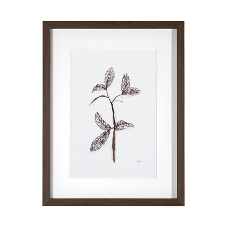 Olive Branch II by Gabrielle a Framed Art Print Matted under Glass from Mercana - Luna Furniture