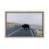 Bison Crossing by Chelsea Victoria a Hand Embelished Textured Framed Photo Art Print Matted under Gl from Mercana - Luna Furniture