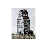 Abandoned Grain Elevator II by Mercana Studio a Hand Embellished Textured Canvas from Mercana - Luna Furniture