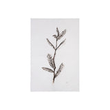 Olive Branch I by Gabrielle Campbell a Hand Embellished Textured Canvas from Mercana - Luna Furniture