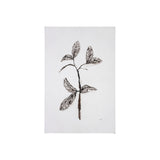 Olive Branch II by Gabrielle Campbell a Hand Embellished Textured Canvas from Mercana - Luna Furniture