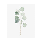 Soft Eucalyptus Branch I by Emma Scarvey a Hand Embellished Textured Canvas from Mercana - Luna Furniture