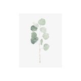 Soft Eucalyptus Branch I by Emma Scarvey a Hand Embellished Textured Canvas from Mercana - Luna Furniture