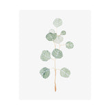 Soft Eucalyptus Branch II by Emma Scarvey a Hand Embellished Textured Canvas from Mercana - Luna Furniture