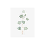 Soft Eucalyptus Branch II by Emma Scarvey a Hand Embellished Textured Canvas from Mercana - Luna Furniture
