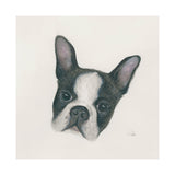 Floyd (Boston Terrier 1) by Mercana Studio a Hand Embellished Textured Canvas from Mercana - Luna Furniture