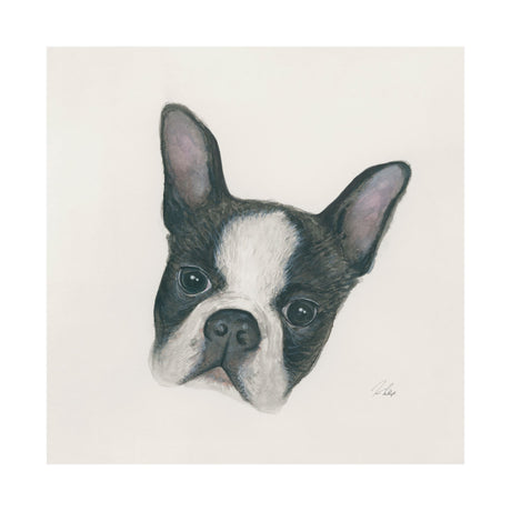 Floyd (Boston Terrier 1) by Mercana Studio a Hand Embellished Textured Canvas from Mercana - Luna Furniture