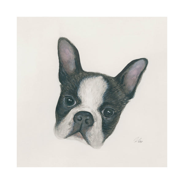 Floyd (Boston Terrier 1) by Mercana Studio a Hand Embellished Textured Canvas