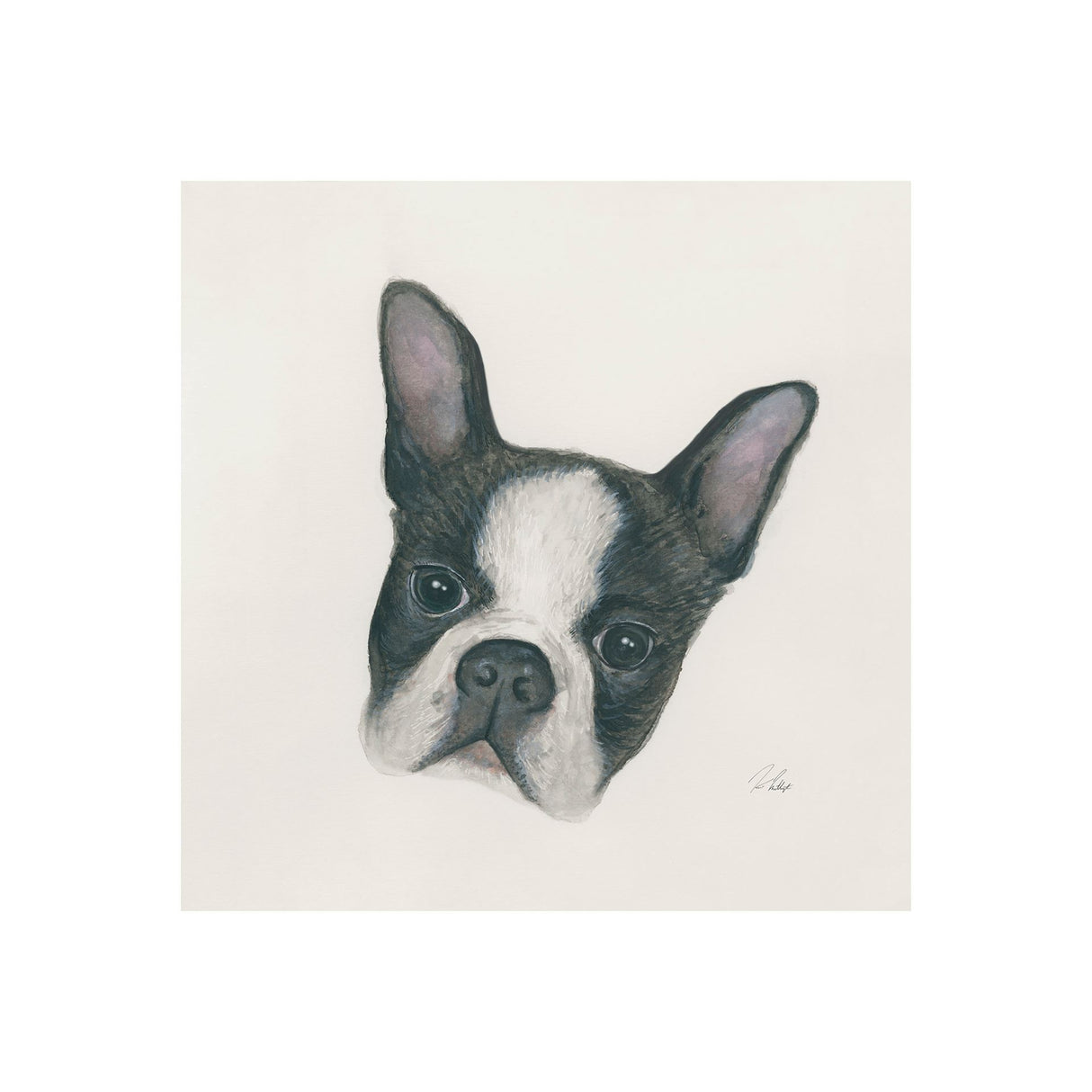 Floyd (Boston Terrier 1) by Mercana Studio a Hand Embellished Textured Canvas from Mercana - Luna Furniture