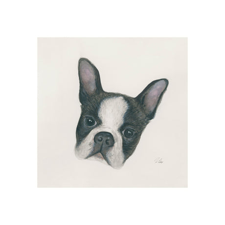 Floyd (Boston Terrier 1) by Mercana Studio a Hand Embellished Textured Canvas from Mercana - Luna Furniture