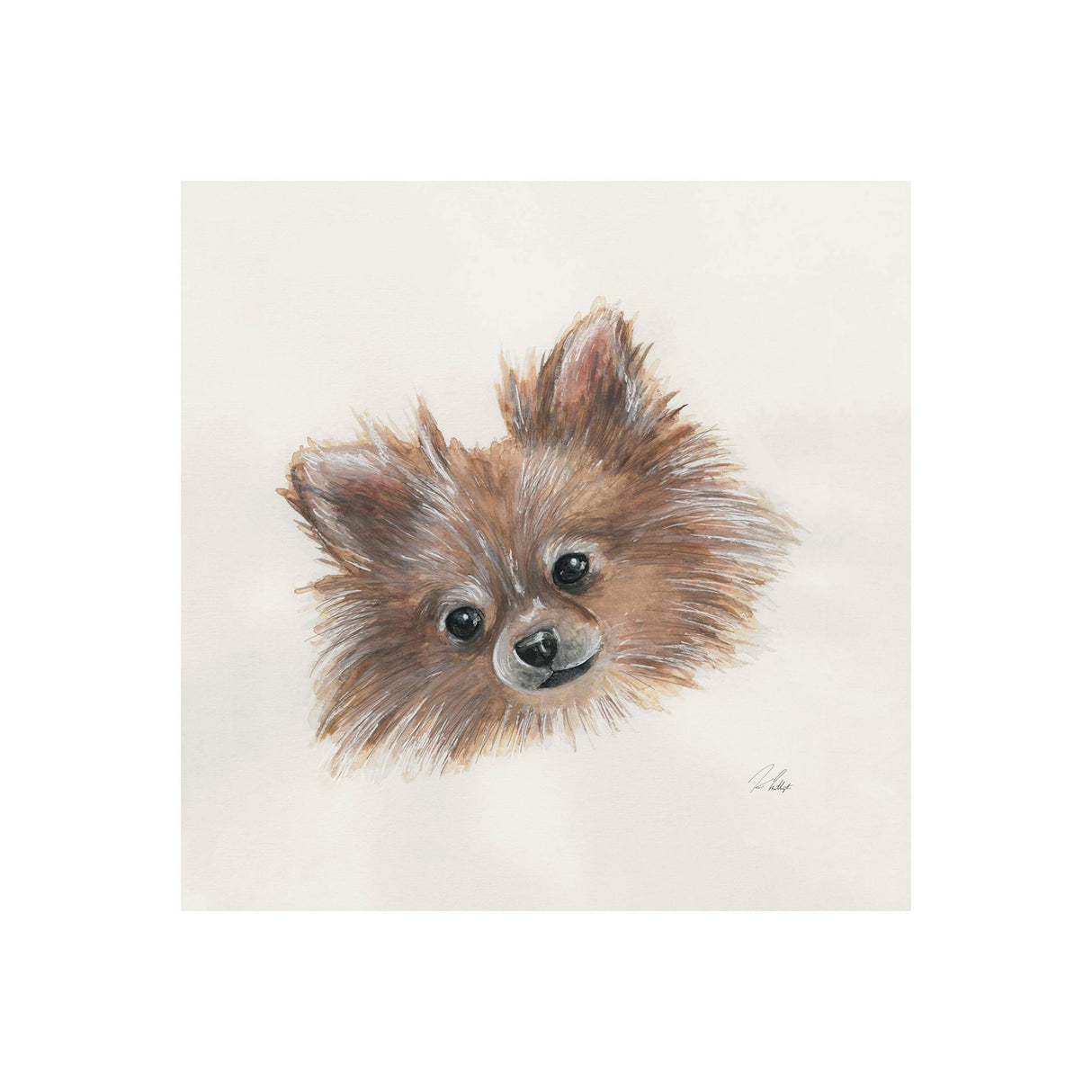 Frankie (Pomeranian 1) by Mercana Studio a Hand Embellished Textured Canvas from Mercana - Luna Furniture
