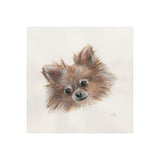 Frankie (Pomeranian 1) by Mercana Studio a Hand Embellished Textured Canvas from Mercana - Luna Furniture